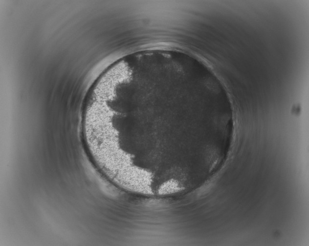 X0000111501418200908251039