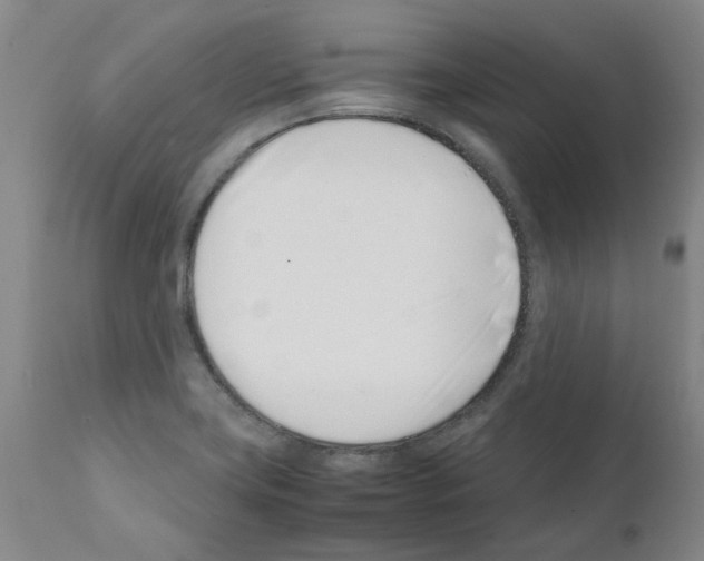 X0000111501419200908251039