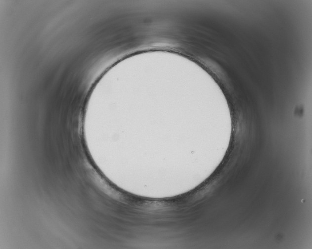 X0000111501420200908251039