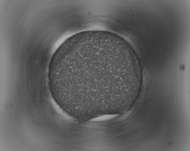 X0000111501422200908251039