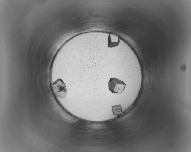 X0000111501423200908251039