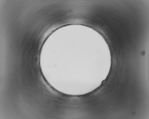 X0000111501424200908251039