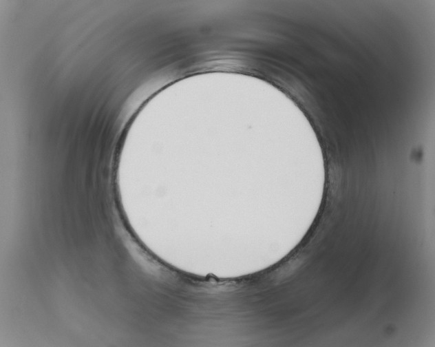 X0000111501426200908251039