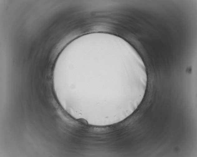 X0000111501427200908251039