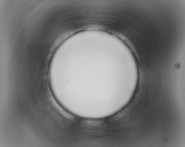 X0000111501429200908251039