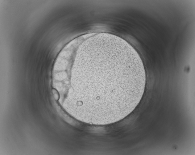 X0000111501431200908251039