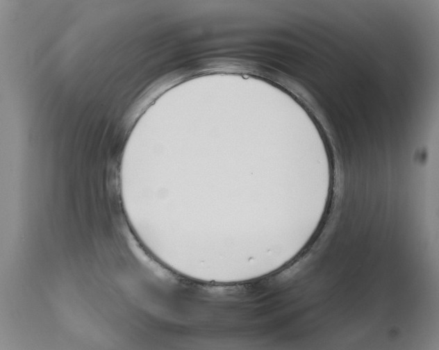 X0000111501433200908251039