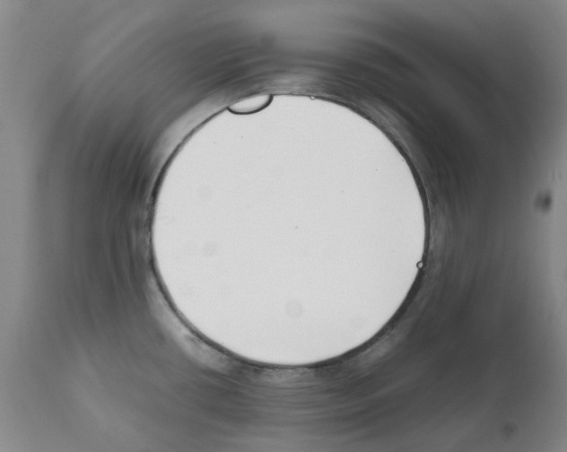 X0000111501434200908251039