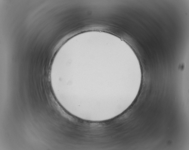 X0000111501436200908251039