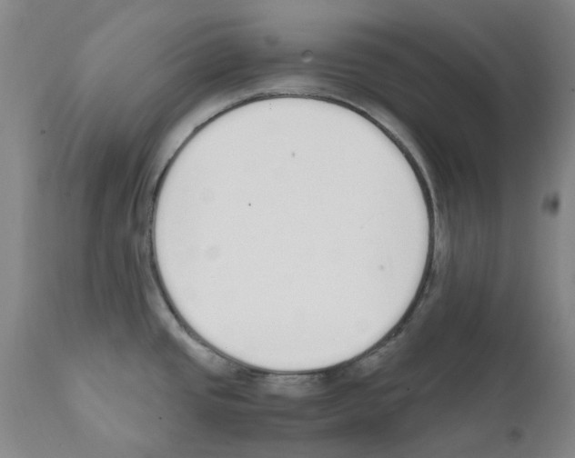 X0000111501437200908251039