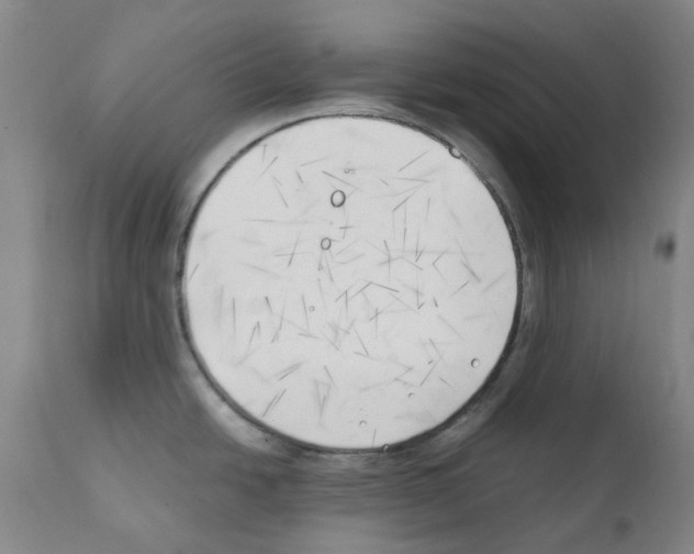 X0000111501438200908251039