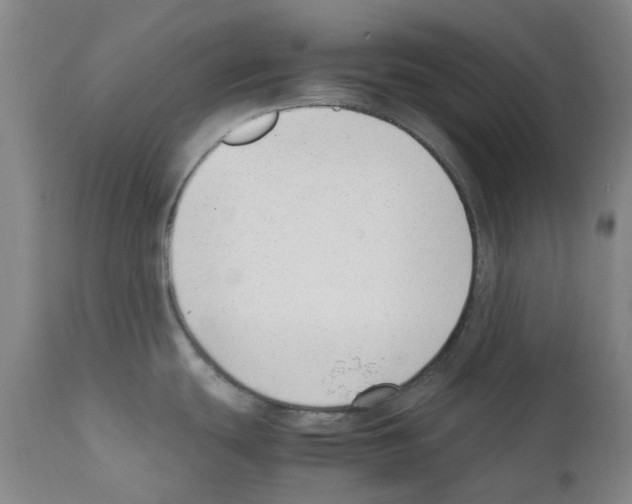 X0000111501439200908251039