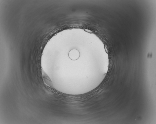 X0000111501441200908251038