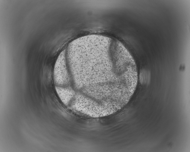 X0000111501444200908251038