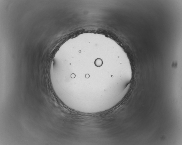 X0000111501445200908251038