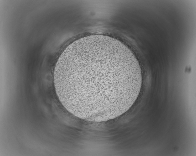 X0000111501446200908251038