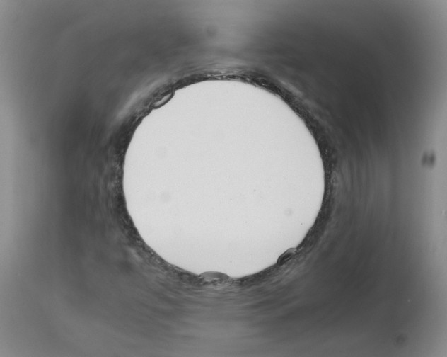 X0000111501447200908251038