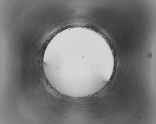 X0000111501448200908251038