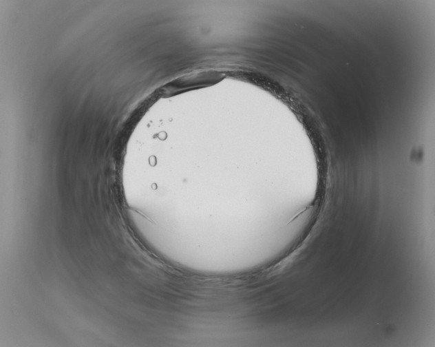 X0000111501449200908251038