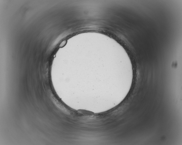 X0000111501450200908251038