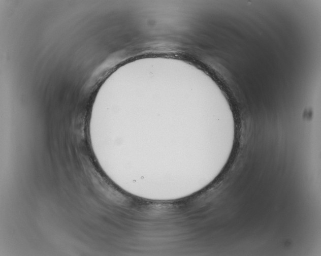 X0000111501451200908251038