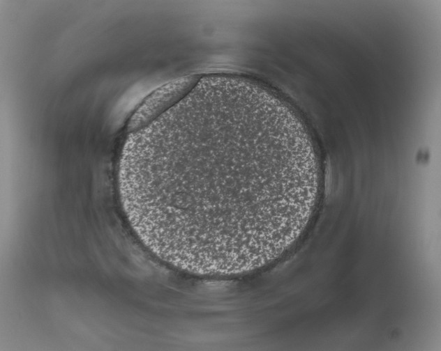 X0000111501453200908251038