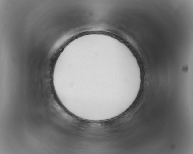 X0000111501456200908251038