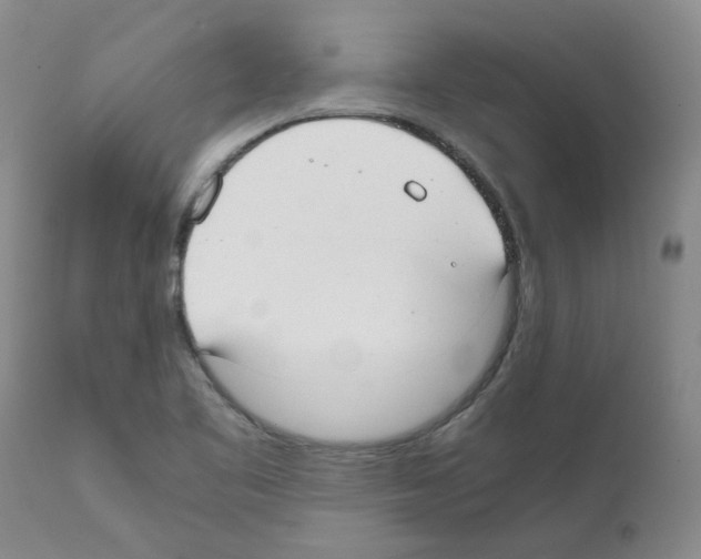 X0000111501461200908251038