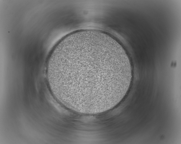 X0000111501462200908251038