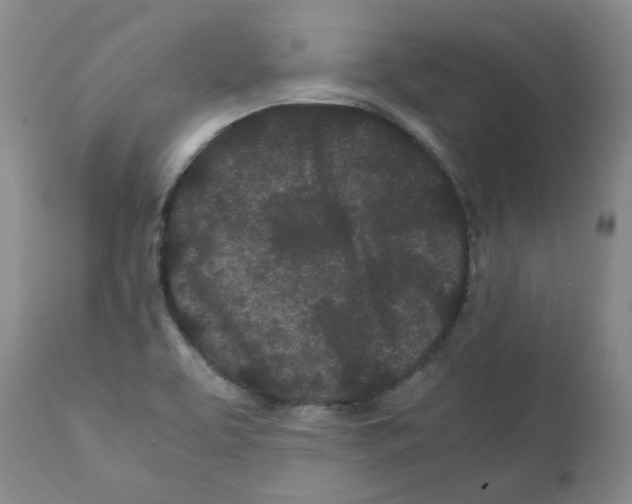 X0000111501463200908251038