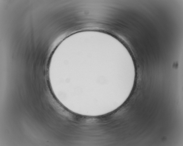 X0000111501467200908251038