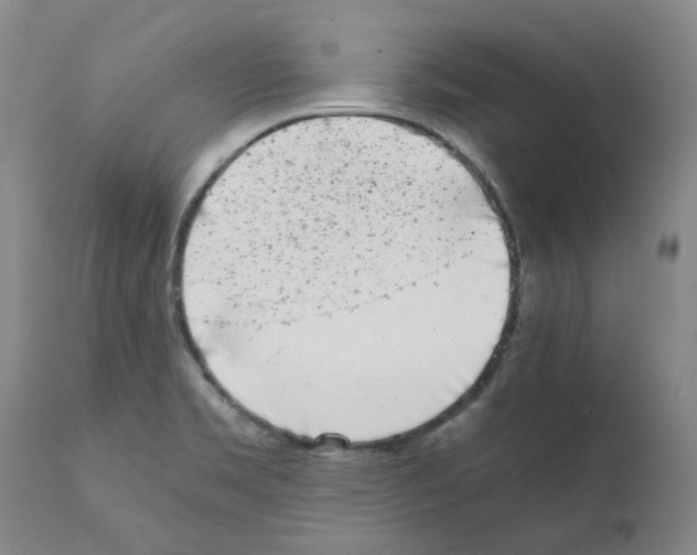 X0000111501469200908251038