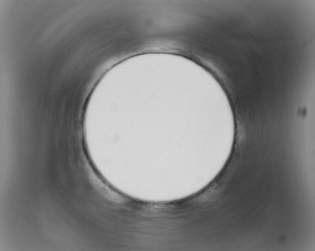 X0000111501471200908251038