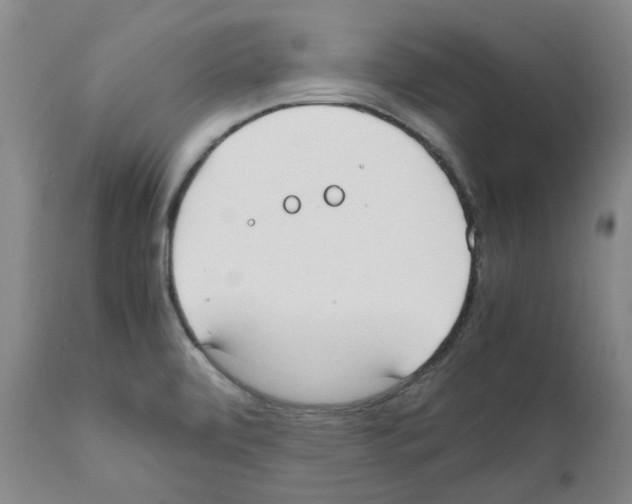 X0000111501472200908251038