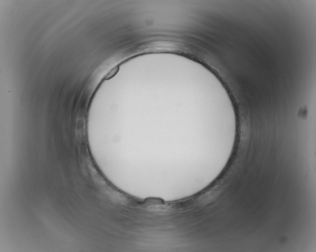 X0000111501473200908251038