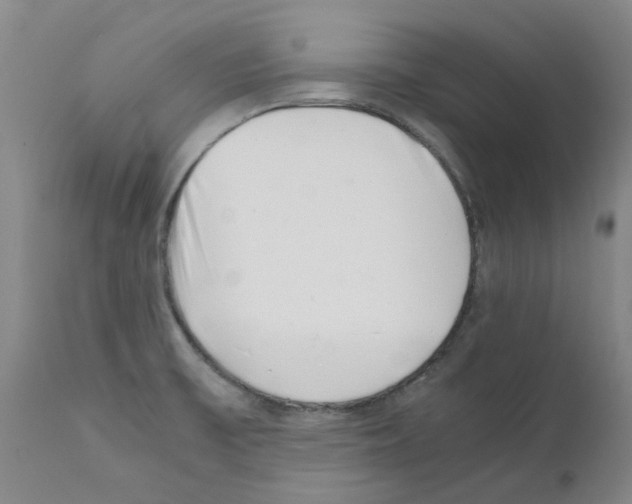 X0000111501475200908251038