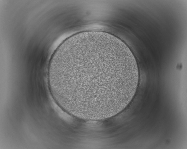 X0000111501478200908251038