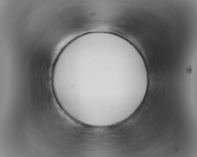 X0000111501480200908251037