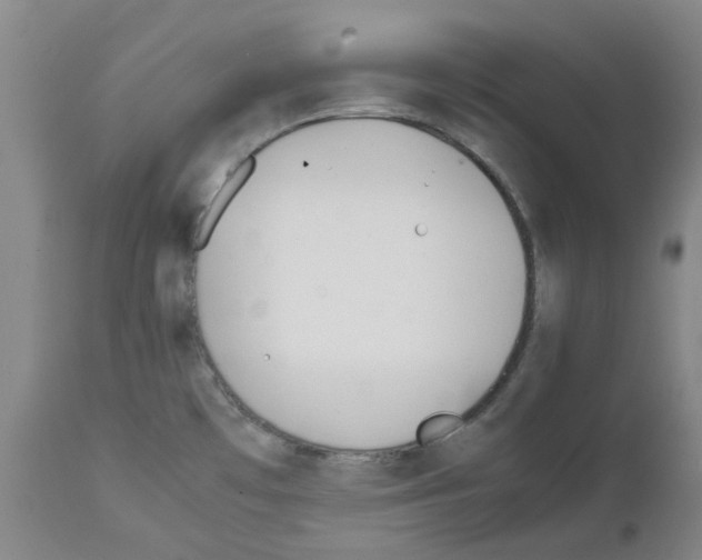 X0000111501481200908251037