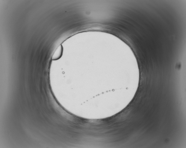 X0000111501483200908251037