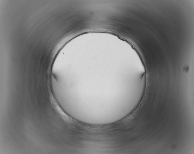 X0000111501485200908251037