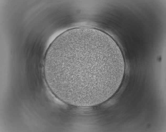 X0000111501486200908251037