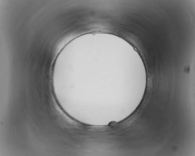 X0000111501487200908251037