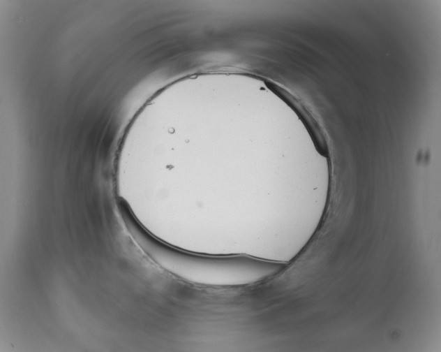 X0000111501488200908251037