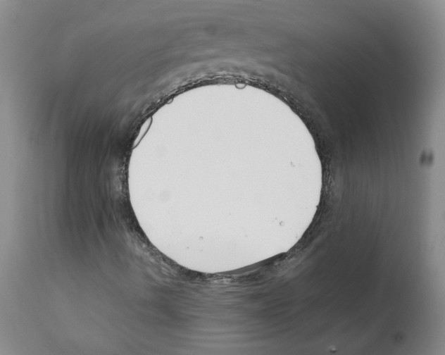 X0000111501490200908251037