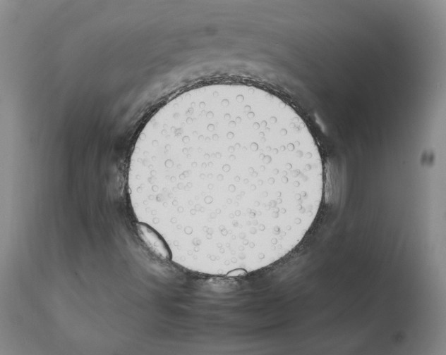 X0000111501491200908251037