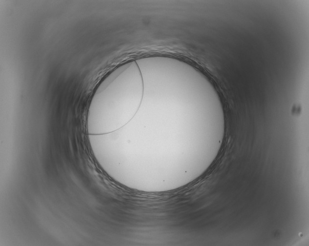 X0000111501492200908251037