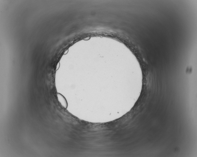 X0000111501493200908251037