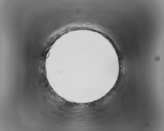 X0000111501494200908251037