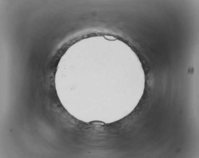 X0000111501495200908251037